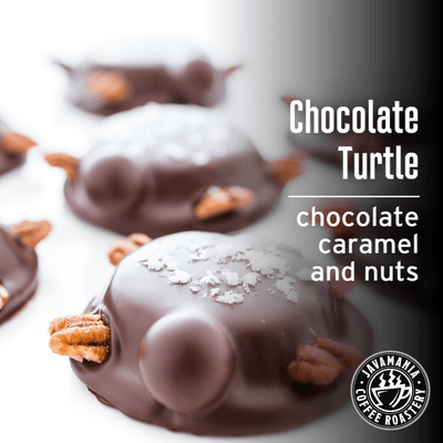 Chocolate Turtle - JavaMania Pro